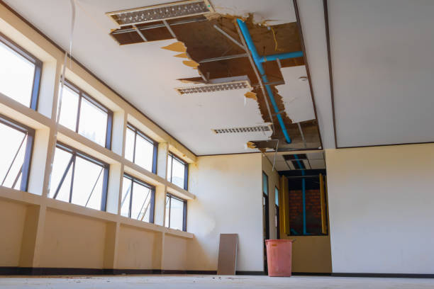 Best Ceiling water damage repair  in North Richland Hills, TX