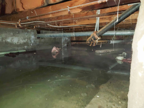 Best Water damage restoration near me  in North Richland Hills, TX