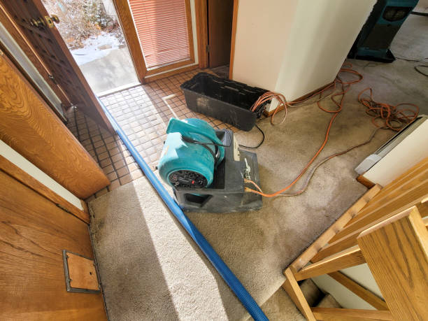 Best Basement water damage restoration  in North Richland Hills, TX