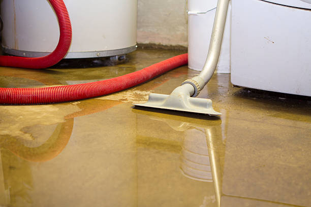 Carpet water damage restoration in TX