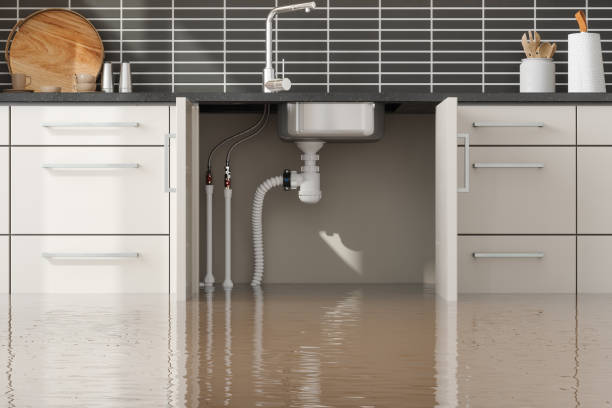 Best Mold removal after water damage  in North Richland Hills, TX