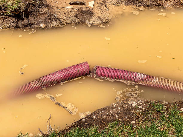 Best Water damage cleanup near me  in North Richland Hills, TX