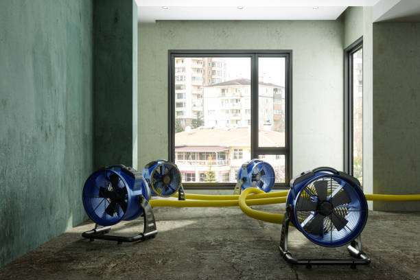 Best Local water damage restoration  in North Richland Hills, TX